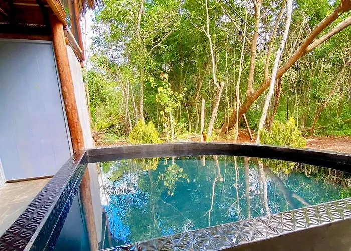 Nuscaa Boutique Tree House & Spa