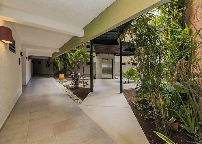 Casa Del Mar Cozumel Hotel & Dive Resort With Free Access To An Exclusive Beach Club